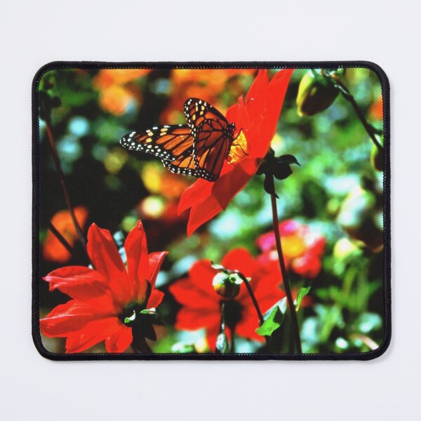 Item preview, Monarch Butterfly designed and sold by K D Graves Photography.