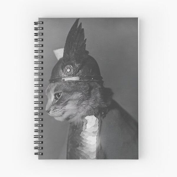 Artikelvorschau, Vintage-Kunstdruck: König der Briten, lustiges Schwarz-Weiß-Foto einer Katze entworfen und verkauft von Astrid Arkhangelsky.