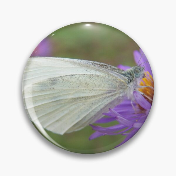 Item preview, Pieris Rapae aka Small Cabbage White Butterfly designed and sold by coribeth.