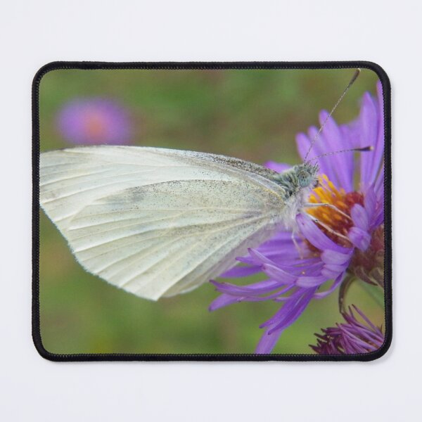 Item preview, Pieris Rapae aka Small Cabbage White Butterfly designed and sold by coribeth.