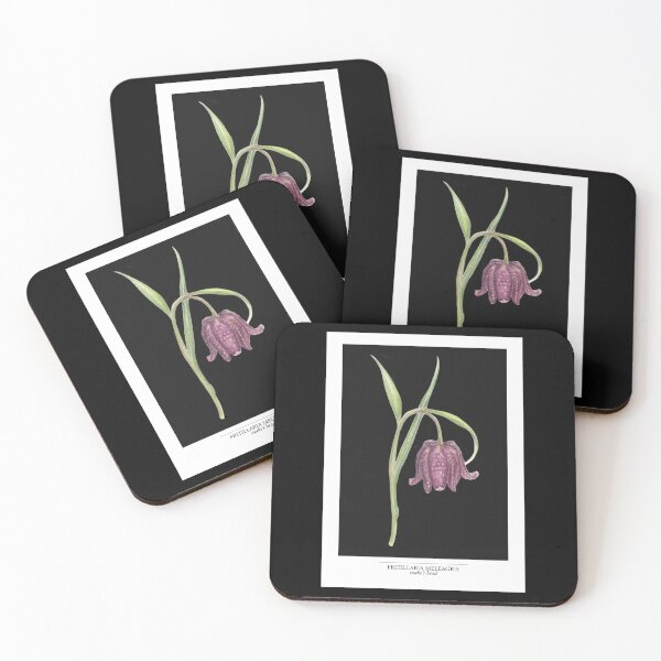 Item preview, Snake’s Head Fritillary Botanical Illustration – Fritillaria meleagris | Vintage Witchy Botanical Art (black) designed and sold by paintingbetween.