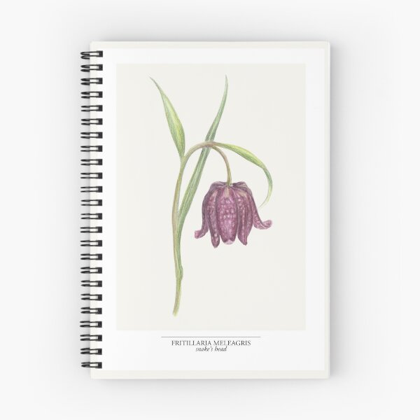 Item preview, Snake’s Head Fritillary Botanical Illustration – Fritillaria meleagris | Vintage Witchy Botanical Art (off white) designed and sold by paintingbetween.