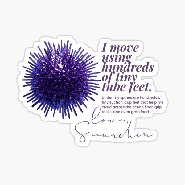 Sea Urchin Trivia – I Walk With Hundreds of Tiny Feet | Marine Life Fun Fact Sticker