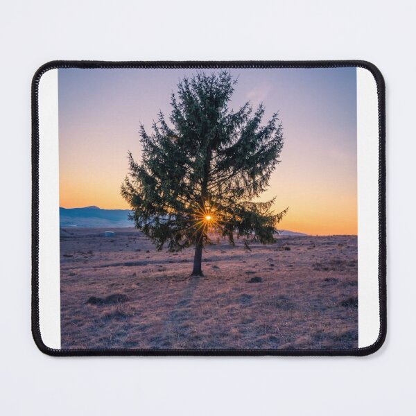 Item preview, Landscape Solitary Tree Sun Spot Photographic Print designed and sold by Mother-Nature65.