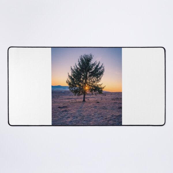 Item preview, Landscape Solitary Tree Sun Spot Photographic Print designed and sold by Mother-Nature65.