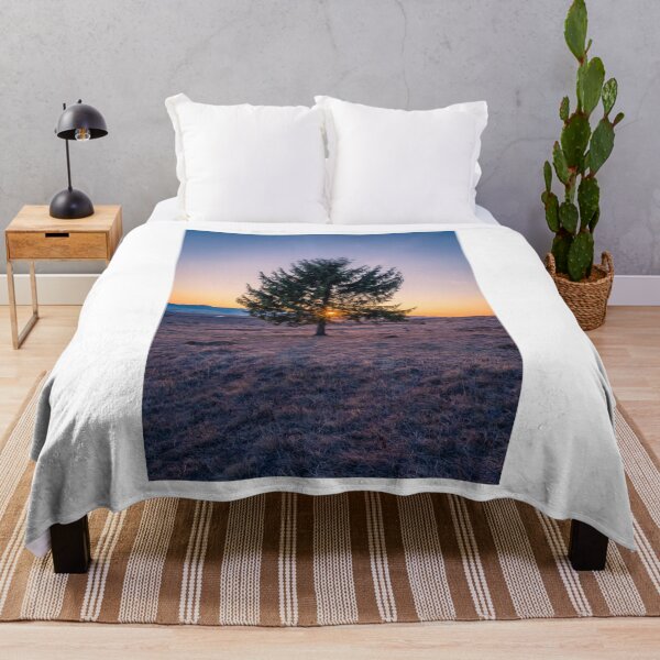 Item preview, Landscape Solitary Tree Sun Spot Photographic Print designed and sold by Mother-Nature65.