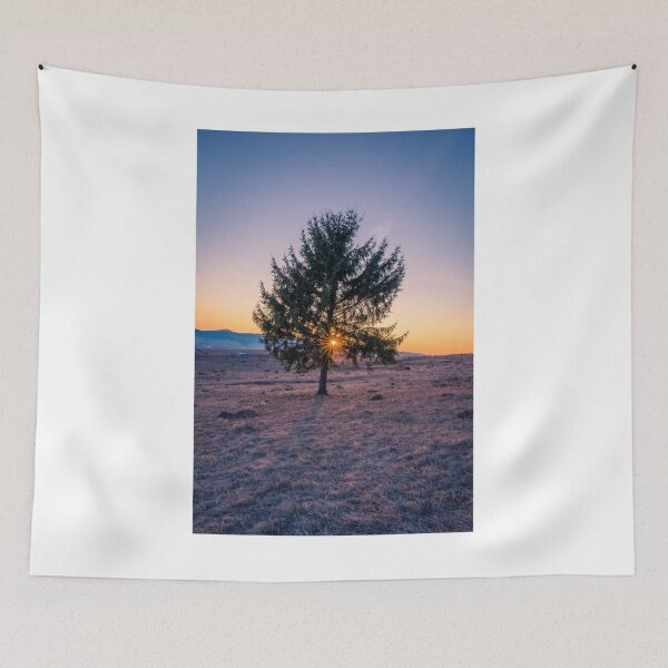 Item preview, Landscape Solitary Tree Sun Spot Photographic Print designed and sold by Mother-Nature65.