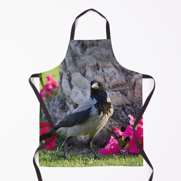 Item preview, Hooded crow. Hurghada 2026 designed and sold by Jouko Lehto Photography.