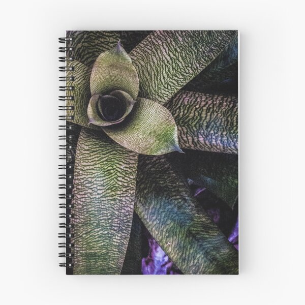Item preview, Bromeliad designed and sold by David Creagh.