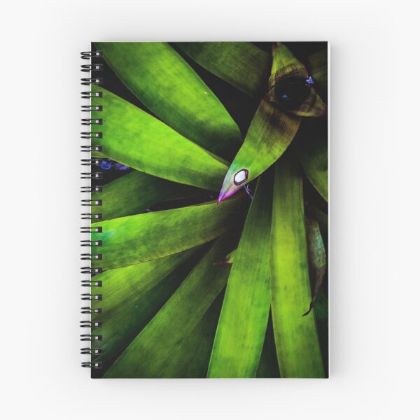 Item preview, Bromeliad designed and sold by David Creagh.