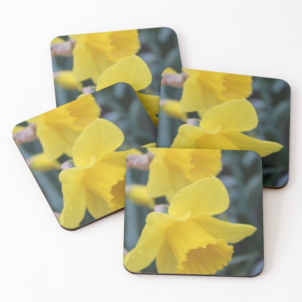 Item preview, Daffodils designed and sold by plzx.