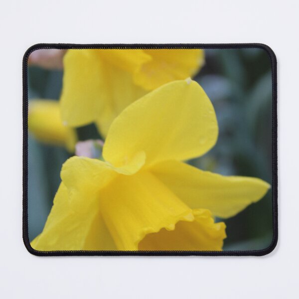 Item preview, Daffodils designed and sold by plzx.