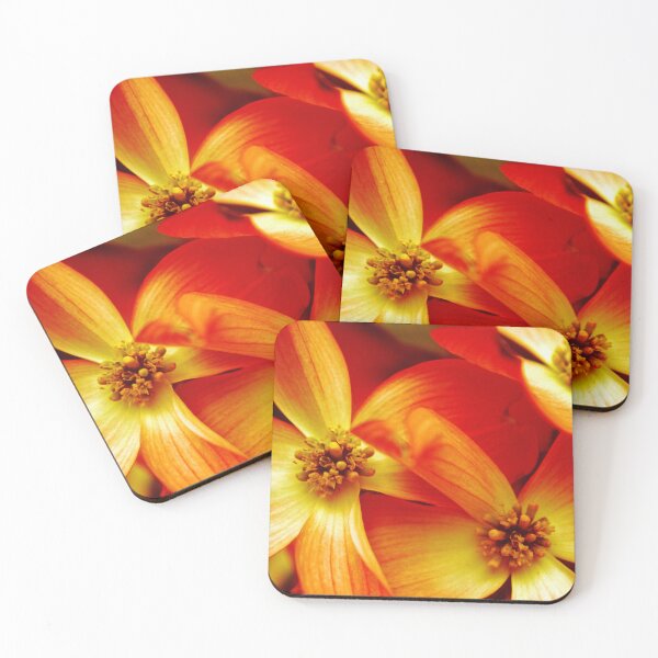 Item preview, Dogwood Blossoms designed and sold by AMacGPhilly.
