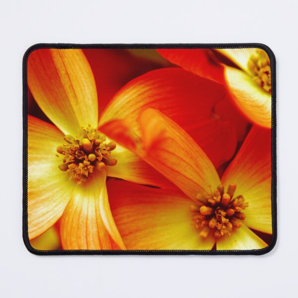 Item preview, Dogwood Blossoms designed and sold by AMacGPhilly.