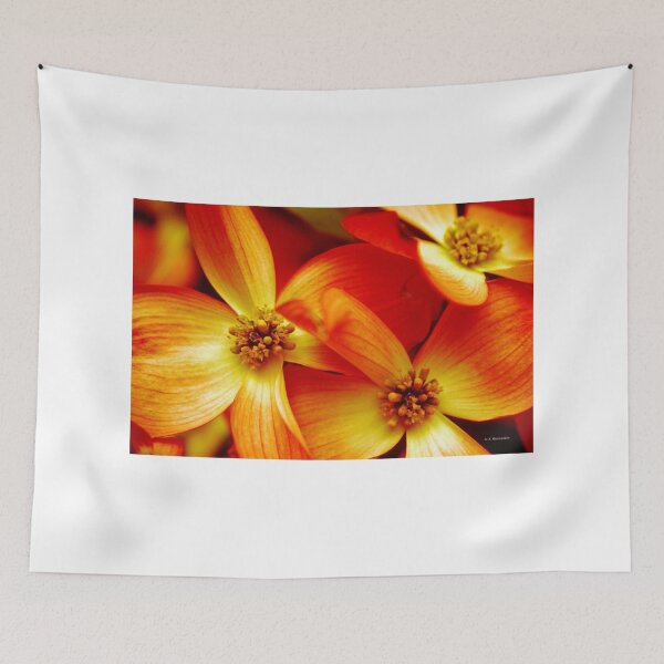 Item preview, Dogwood Blossoms designed and sold by AMacGPhilly.