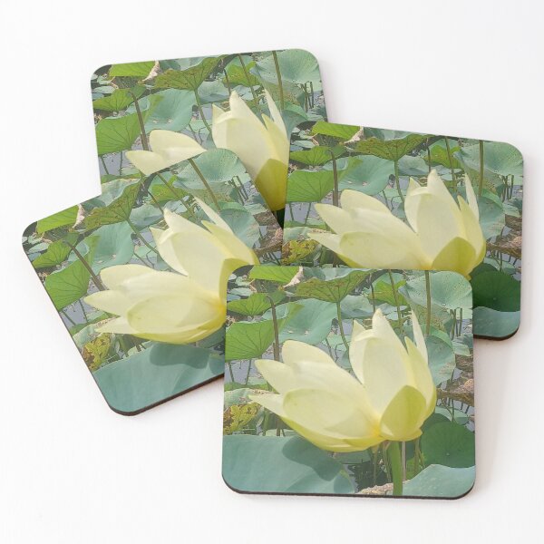Item preview, Yellow Waterlily Closeup Photo designed and sold by chucktownjax.