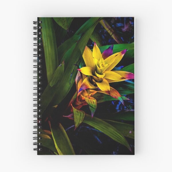 Item preview, Bromeliad designed and sold by David Creagh.
