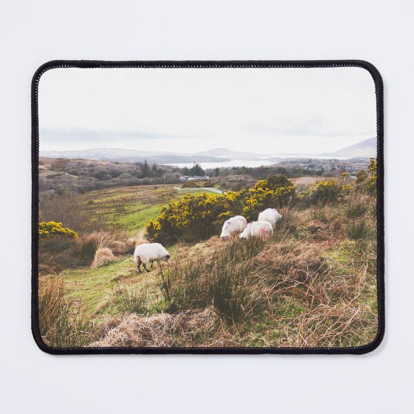 Item preview, Irish Sheep Grazing the Wild Connemara Hills designed and sold by AshleyMobleyArt.