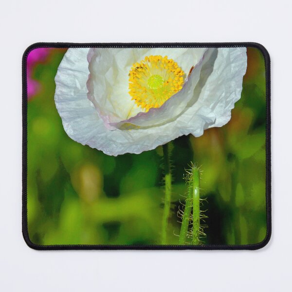 Item preview, White Poppy Wildflower, Summer Meadow designed and sold by AMacGPhilly.