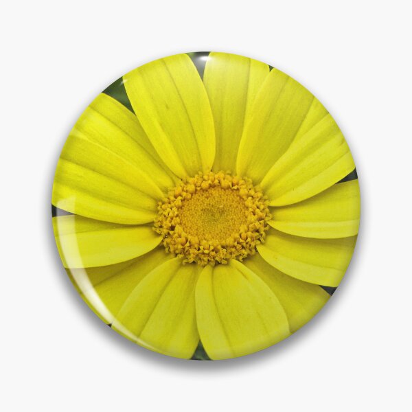 Item preview, Bright Yellow Daisy Bloom Close-Up With Green Foliage And Purple Wildflowers Background designed and sold by Nmallia.