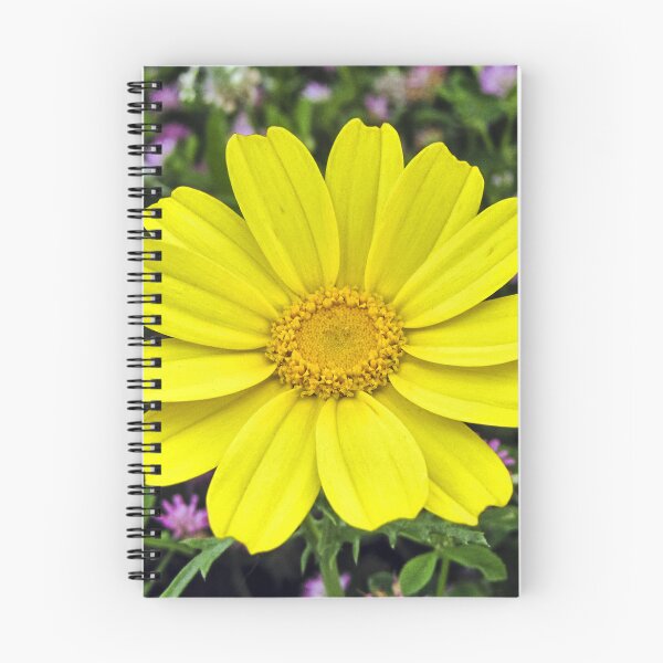 Item preview, Bright Yellow Daisy Bloom Close-Up With Green Foliage And Purple Wildflowers Background designed and sold by Nmallia.