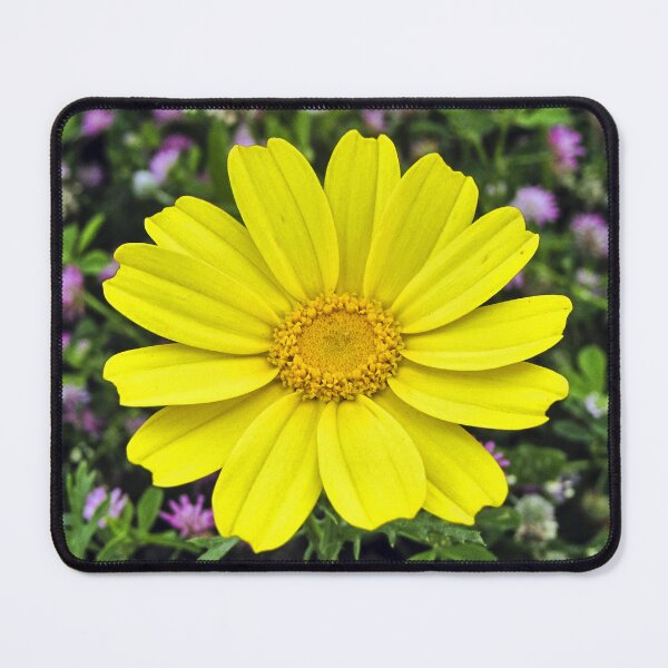 Item preview, Bright Yellow Daisy Bloom Close-Up With Green Foliage And Purple Wildflowers Background designed and sold by Nmallia.