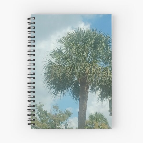 Item preview, Palmetto Tree Downtown Charleston Photo designed and sold by chucktownjax.