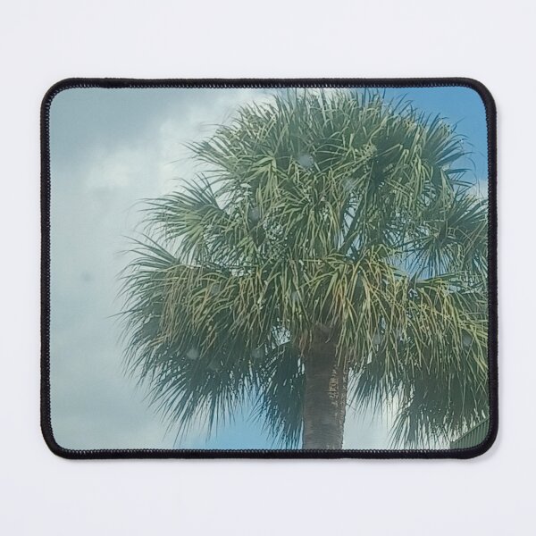 Item preview, Palmetto Tree Downtown Charleston Photo designed and sold by chucktownjax.
