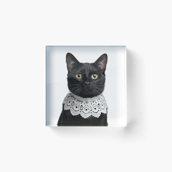 Item preview, Black Cat with Golden Eyes and Lace Collar designed and sold by pumsquare.