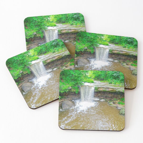 Item preview, Big Run Falls, Cascade Park, FL designed and sold by poeticnautilus.
