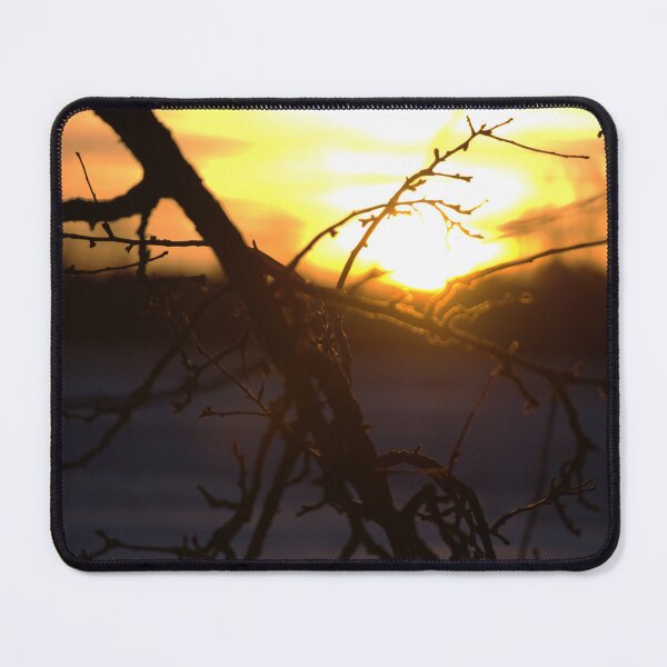 Item preview, Branch at sunset designed and sold by Deniis2204.