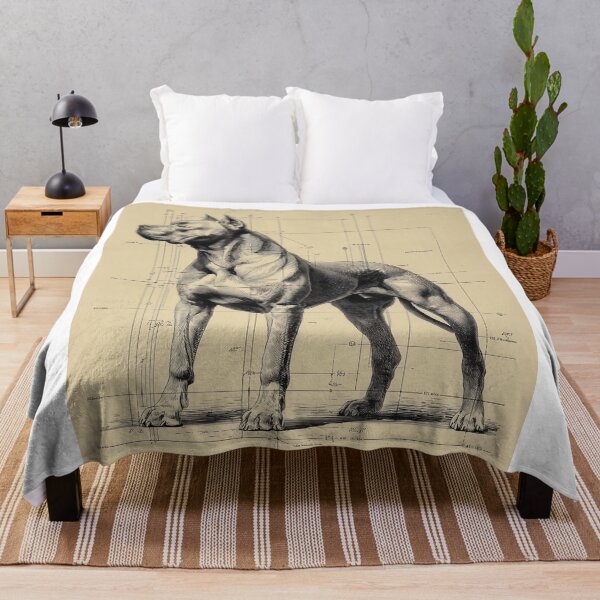 Item preview, Detailed Cane Corso Anatomical Drawing designed and sold by lautir.