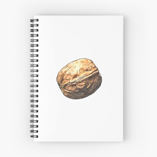 Item preview, Walnut - Watercolor illustration designed and sold by AquarellChill.
