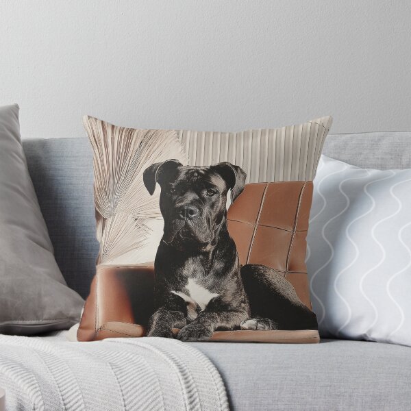Item preview, Sophisticated Cane Corso on Brown Chair designed and sold by lautir.