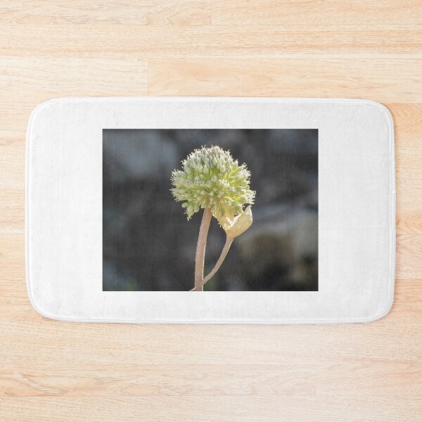 Item preview, Green Allium Flower Head Macro Closeup With Dried Leaf On Stem In Soft Bokeh designed and sold by Nmallia.