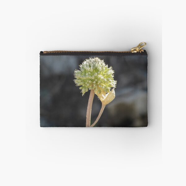Item preview, Green Allium Flower Head Macro Closeup With Dried Leaf On Stem In Soft Bokeh designed and sold by Nmallia.