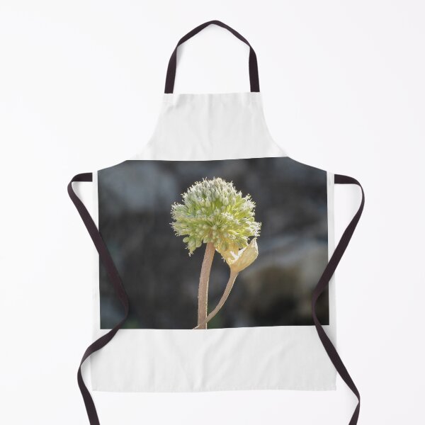 Item preview, Green Allium Flower Head Macro Closeup With Dried Leaf On Stem In Soft Bokeh designed and sold by Nmallia.