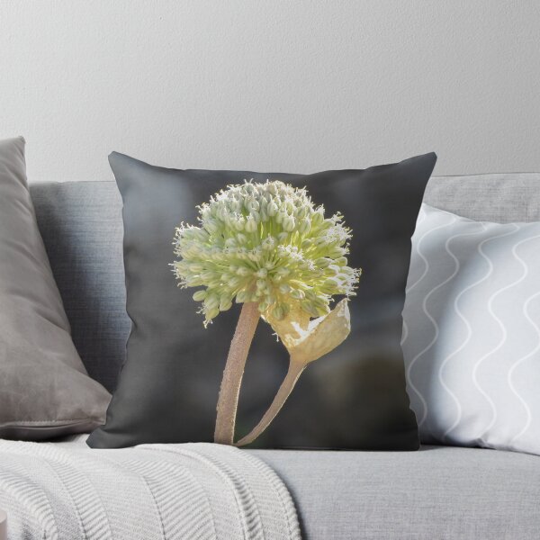 Item preview, Green Allium Flower Head Macro Closeup With Dried Leaf On Stem In Soft Bokeh designed and sold by Nmallia.