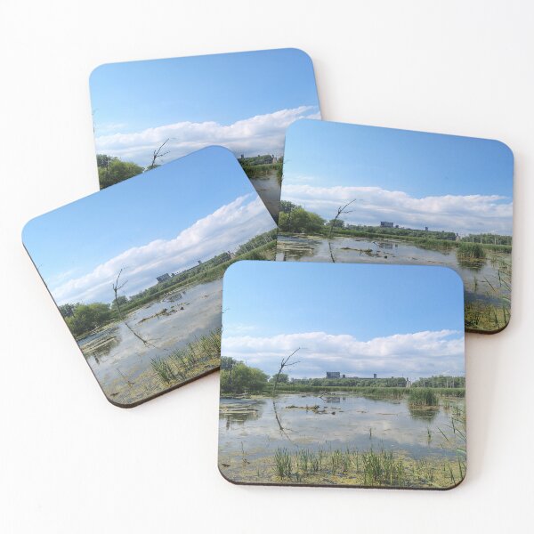 Item preview, Marsh and Dereliction   designed and sold by SCTBUFFALOPHOTO.