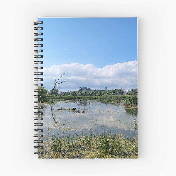 Item preview, Marsh and Dereliction   designed and sold by SCTBUFFALOPHOTO.