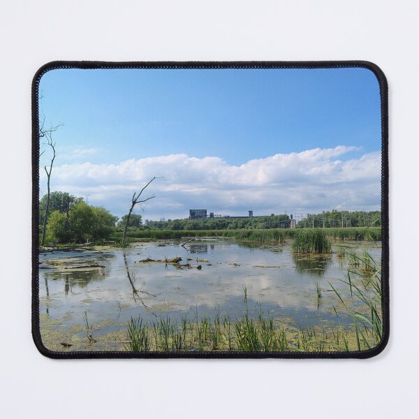 Item preview, Marsh and Dereliction   designed and sold by SCTBUFFALOPHOTO.