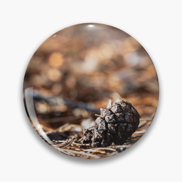 Item preview, Forest Floor Detail – Pine Cone in Warm Autumn Light designed and sold by MCre8ive.