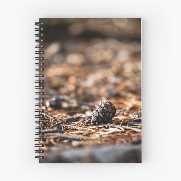 Item preview, Forest Floor Detail – Pine Cone in Warm Autumn Light designed and sold by MCre8ive.