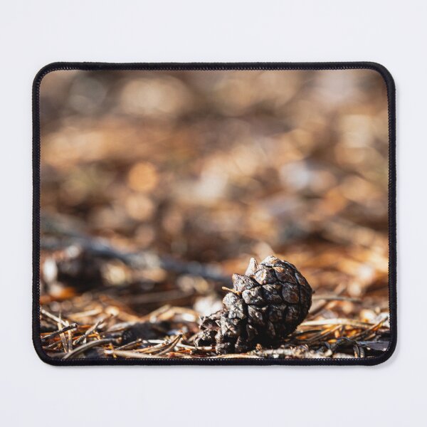 Item preview, Forest Floor Detail – Pine Cone in Warm Autumn Light designed and sold by MCre8ive.