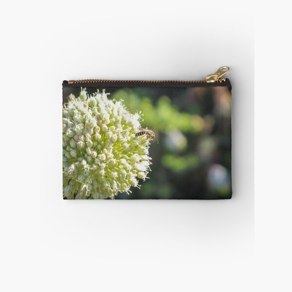 Item preview, Close-Up Of Bee Pollinating Pale Green Allium Flower Head In Soft Sunlit Garden designed and sold by Nmallia.