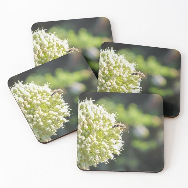 Item preview, Close-Up Of Bee Pollinating Pale Green Allium Flower Head In Soft Sunlit Garden designed and sold by Nmallia.
