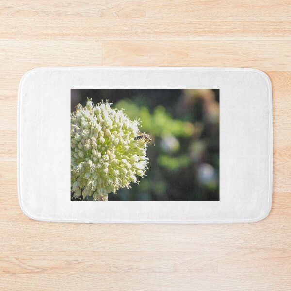 Item preview, Close-Up Of Bee Pollinating Pale Green Allium Flower Head In Soft Sunlit Garden designed and sold by Nmallia.