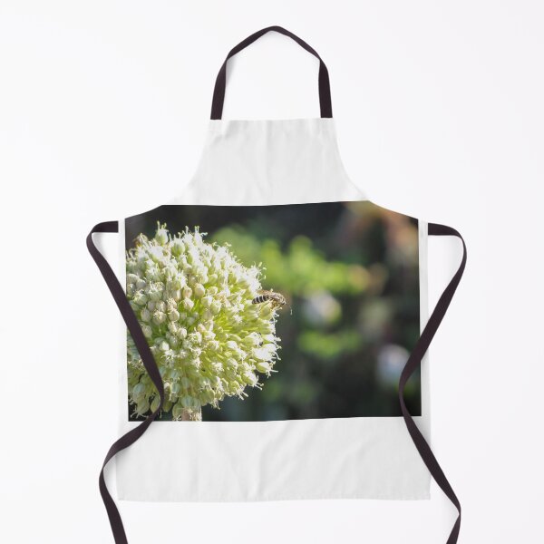 Item preview, Close-Up Of Bee Pollinating Pale Green Allium Flower Head In Soft Sunlit Garden designed and sold by Nmallia.