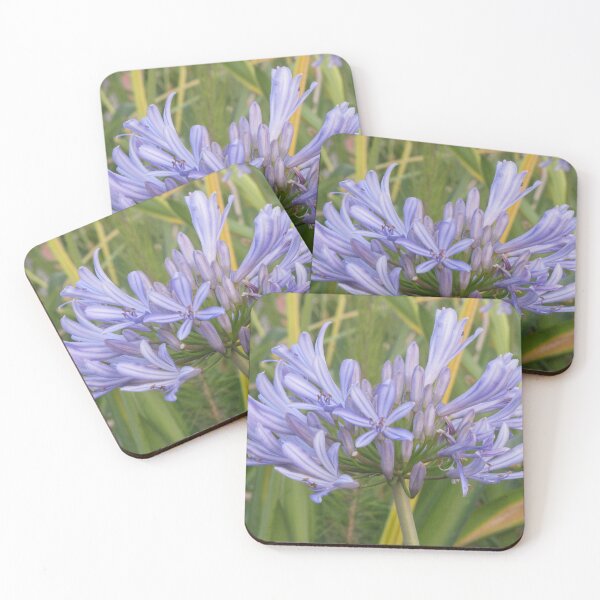 Item preview, Purple Agapanthus Flower Blooming Close-Up With Green Garden Background And Delicate Petals designed and sold by Nmallia.