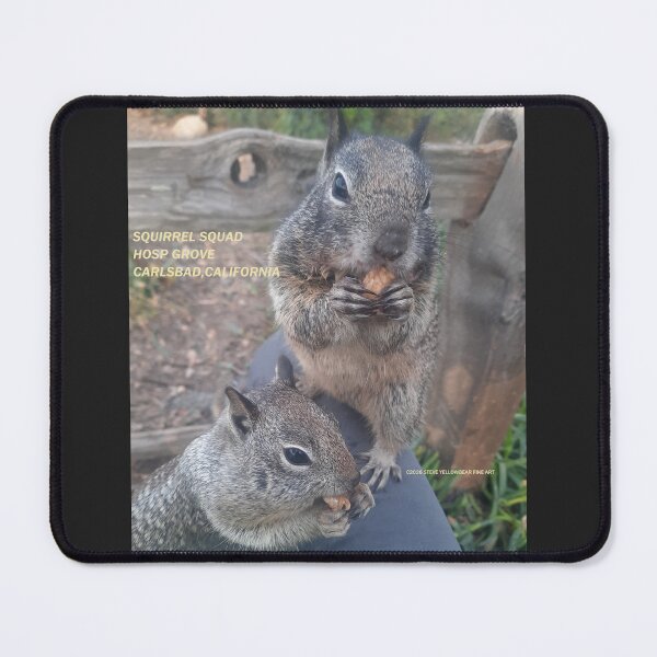 Item preview, C2026 STEVE YELLOWBEAR FINE ART  HOSP GROVE SQUIRREL SQUAD,  designed and sold by SteveYellowbear.